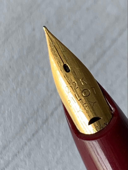 Pilot fountain pen with 22K gold nib showing slight discoloration on the body