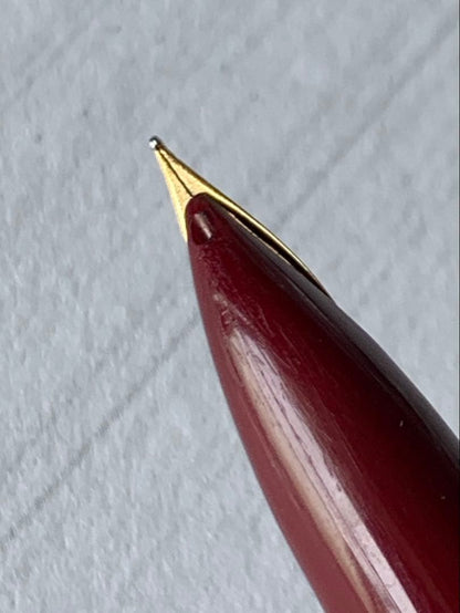 Pilot fountain pen with 22K gold nib showing slight discoloration on the body