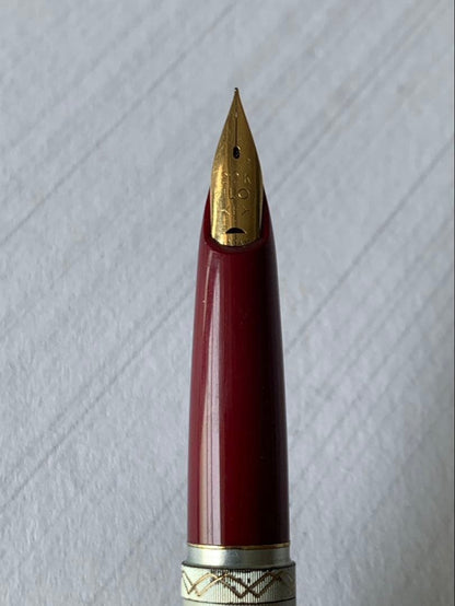 Pilot fountain pen with 22K gold nib showing slight discoloration on the body