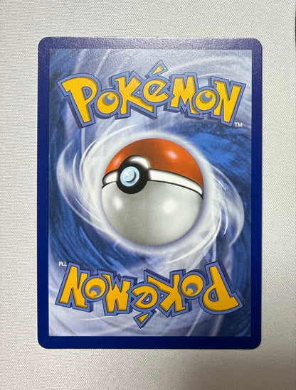 Pokemon Boss's Orders — English