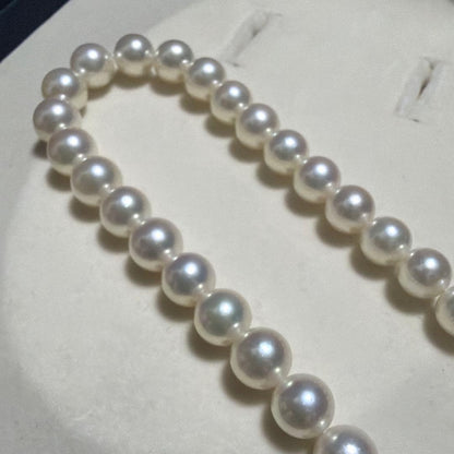 TASAKI Akoya Pearl Gradient Necklace 8.5 Swan Teri, 42.5 cm length with lustrous pearls