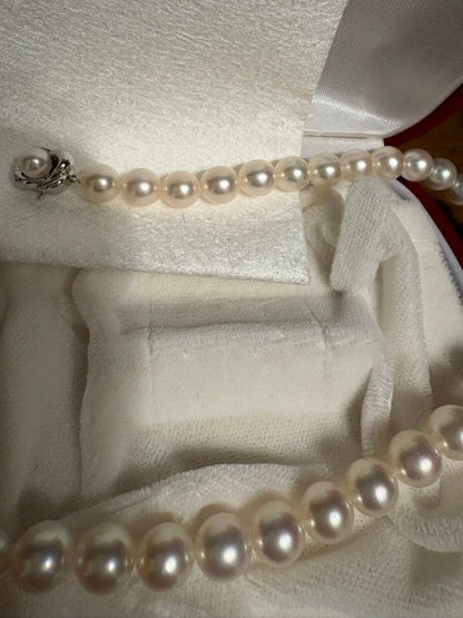 Tasaki Akoya pearl necklace with 8mm pearls and silver fittings laid out flat