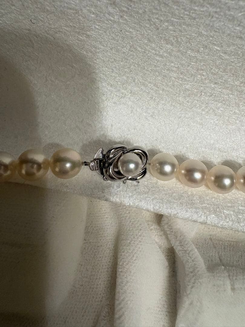 Tasaki Akoya pearl necklace with 8mm pearls and silver fittings laid out flat