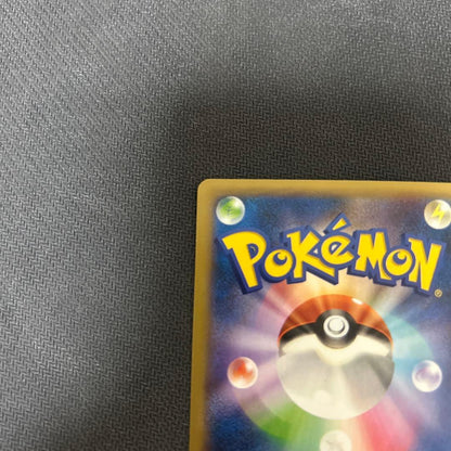 Pokemon Charizard ex SR — XY Expansion Pack Wild Blaze 081/080 — Japanese
