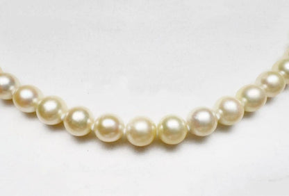 Akoya pearl necklace 7.5 to 8.0 mm round champagne white pearls with silver clasp on 42cm stainless steel wire