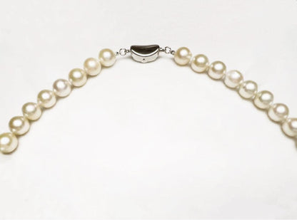 Akoya pearl necklace 7.5 to 8.0 mm round champagne white pearls with silver clasp on 42cm stainless steel wire