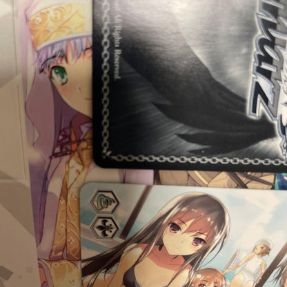 Weiss Schwarz Swimsuit Weiss Schwarz Dengeki Bunko The Tumultuous Recreation sp Sign — Japanese