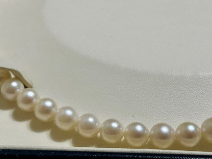 Close-up of Akoya pearl necklace with 8.4mm pearls measuring 42cm in length on a white background