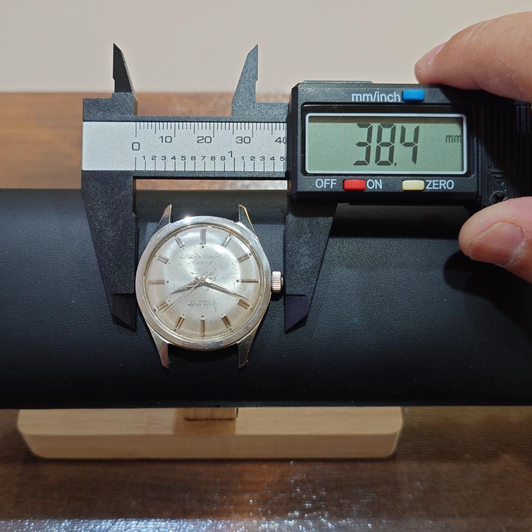 Citizen Homer Guppy Manual Men's Watch — Japanese