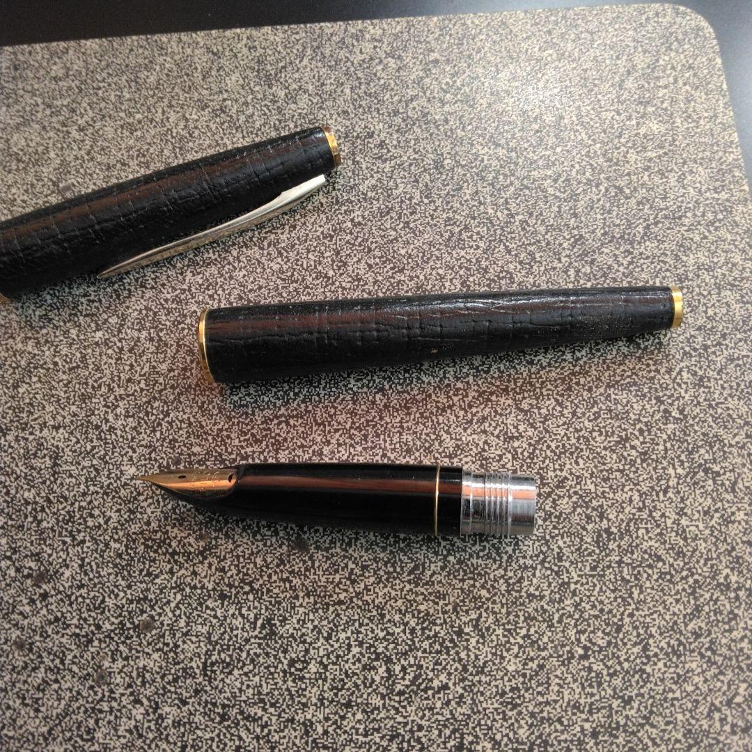 Pilot fountain pen with 18K gold fine nib and brown leather wrapped body on white background