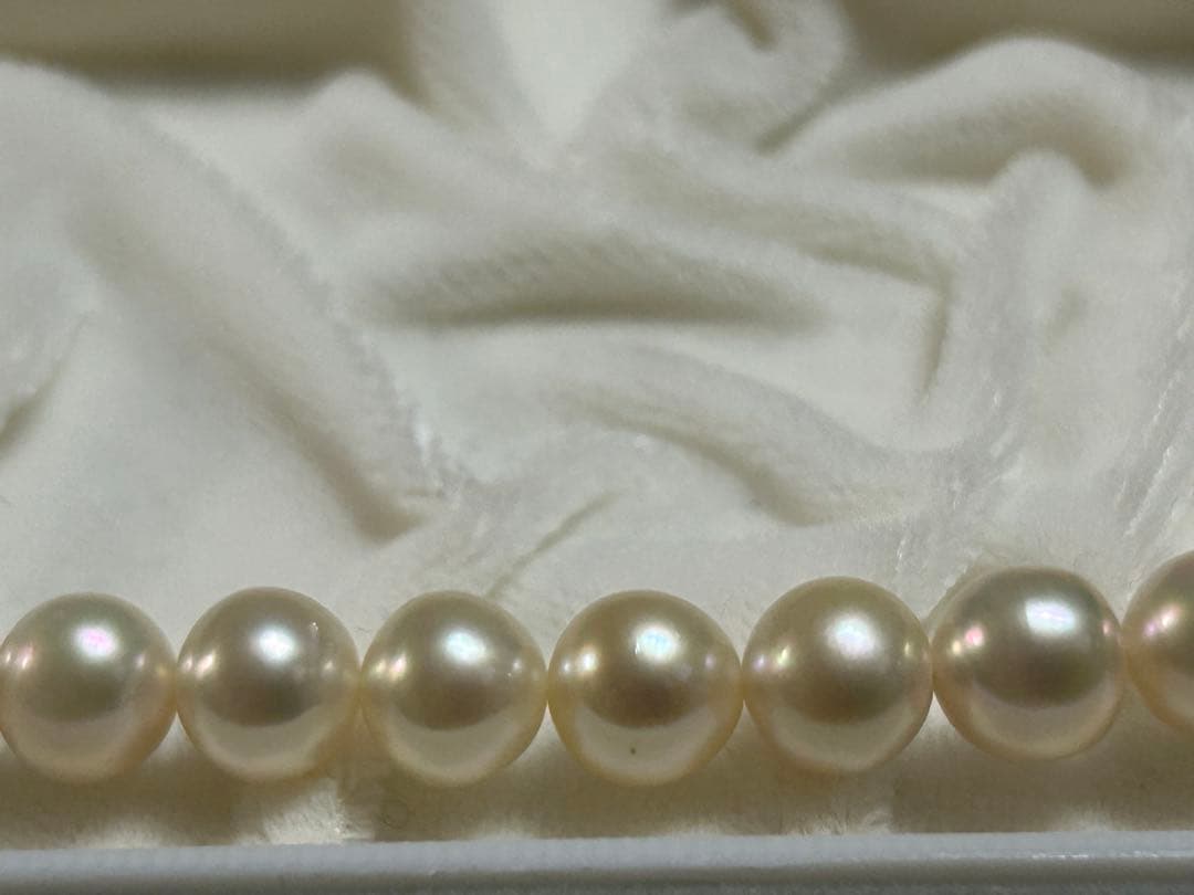 Akoya pearl necklace 8-8.5mm with K14WG earring set and silver single earring displayed on white background