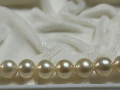 Akoya pearl necklace 8-8.5mm with K14WG earring set and silver single earring displayed on white background