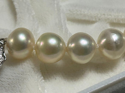 Akoya pearl necklace 8-8.5mm with K14WG earring set and silver single earring displayed on white background