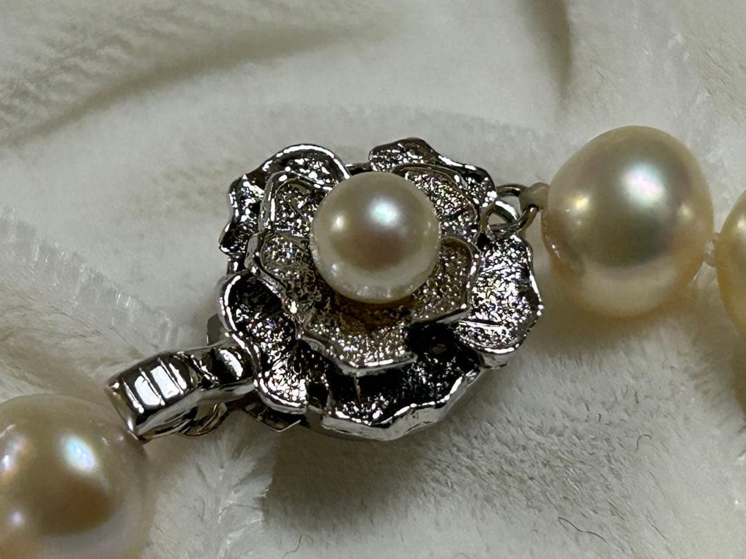 Akoya pearl necklace 8-8.5mm with K14WG earring set and silver single earring displayed on white background