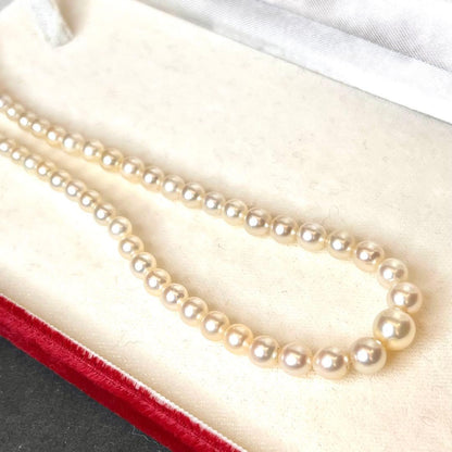 MIKIMOTO Graduation Necklace with cultured pearls and silver clasp on white background