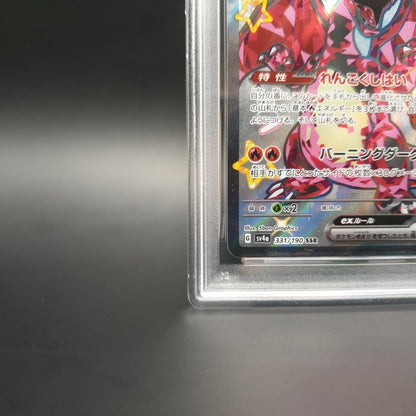 PSA 8 Pokemon Charizard ex SSR — SV High Class Pack Shiny Treasure ex — Japanese