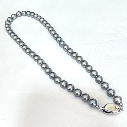 Akoya pearl necklace 42cm with natural white pearls and a silver clasp on white background