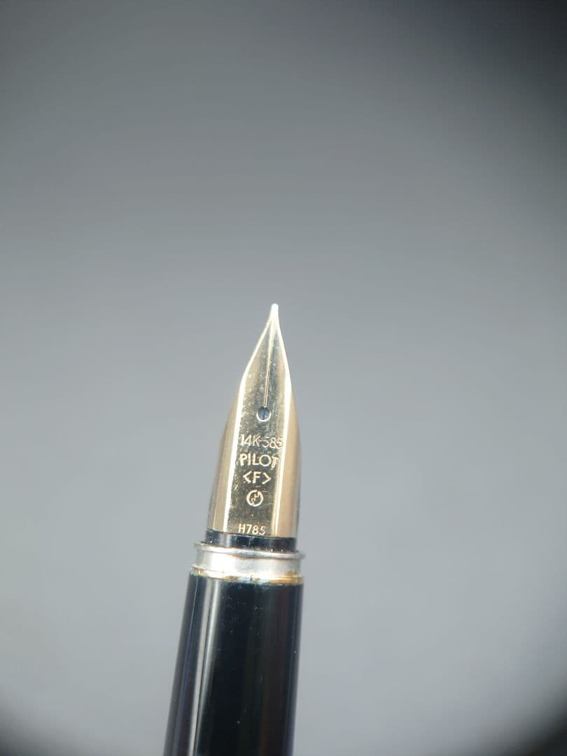 Pilot fountain pen with lattice pattern stripe engraving and 14K fine point nib