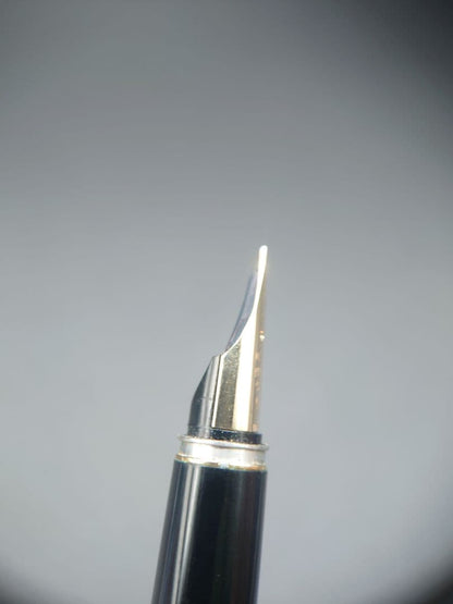 Pilot fountain pen with lattice pattern stripe engraving and 14K fine point nib