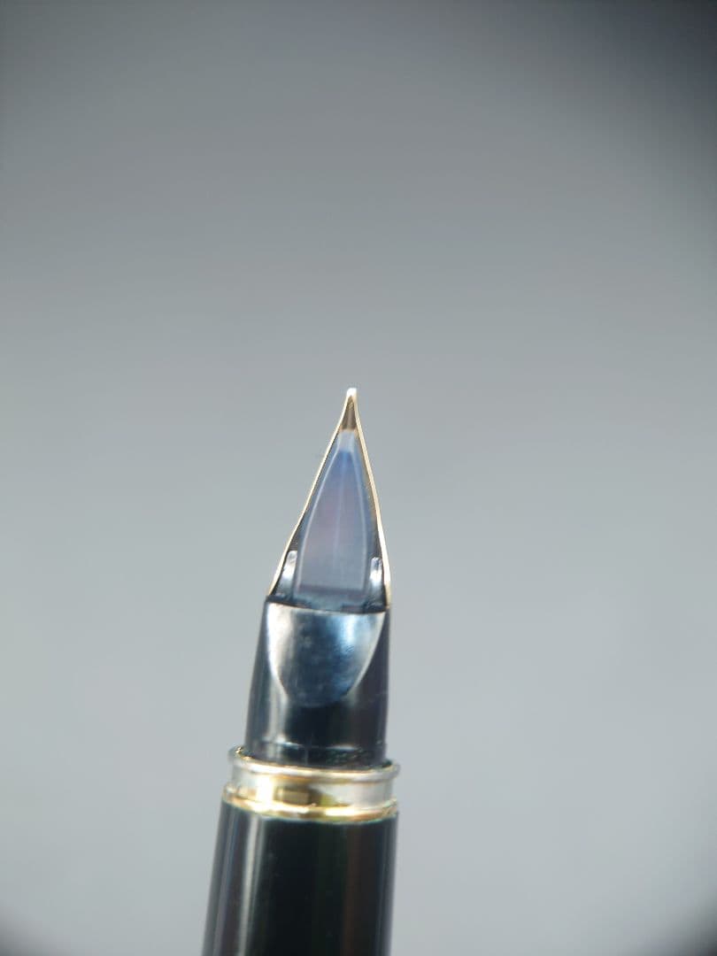 Pilot fountain pen with lattice pattern stripe engraving and 14K fine point nib