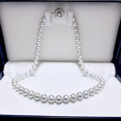 Akoya pearl necklace with 6.9-7.5mm light gray pearls and silver clasp on a white background