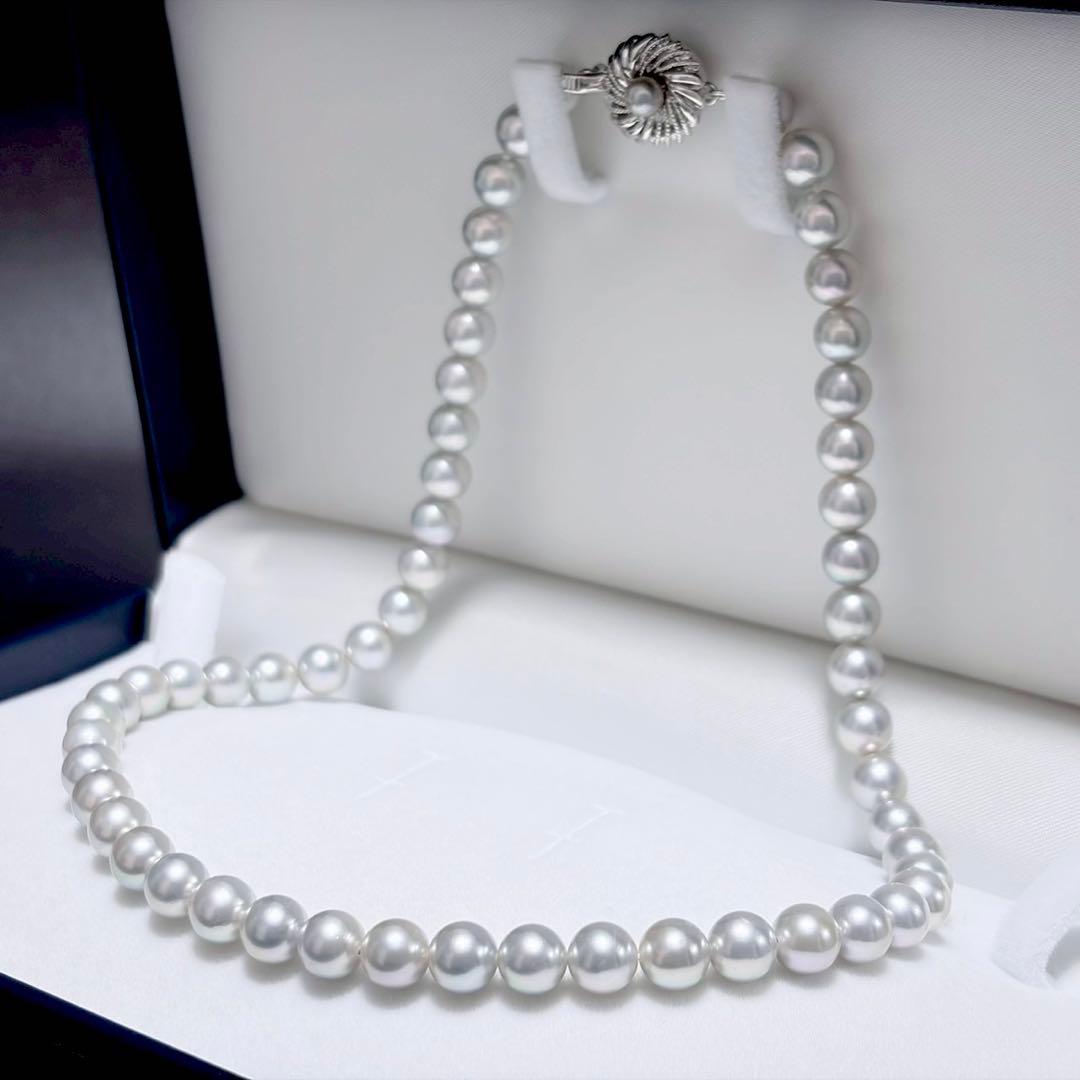Akoya pearl necklace with 6.9-7.5mm light gray pearls and silver clasp on a white background