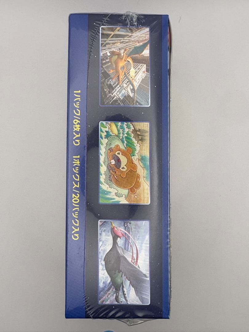 Pokemon Pokémon GO Expansion Pack Sword & Shield Box — S Enhanced Expansion Pack Pokemon GO — Japanese