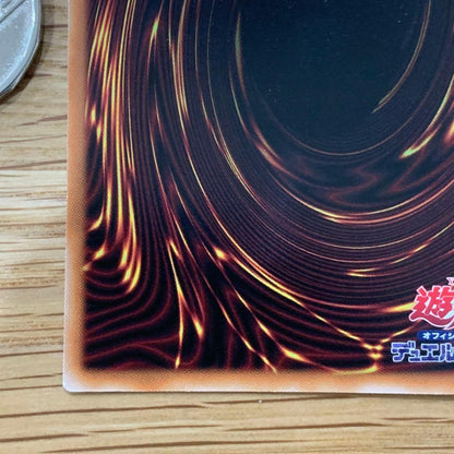 Yu-Gi-Oh Ariana, the Silver Castle Servant — Japanese