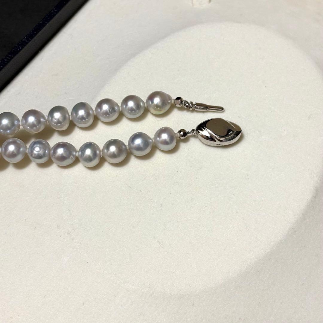 Akoya pearl necklace measuring 43.5 cm with round 8.0-8.5 mm white pearls on a white background