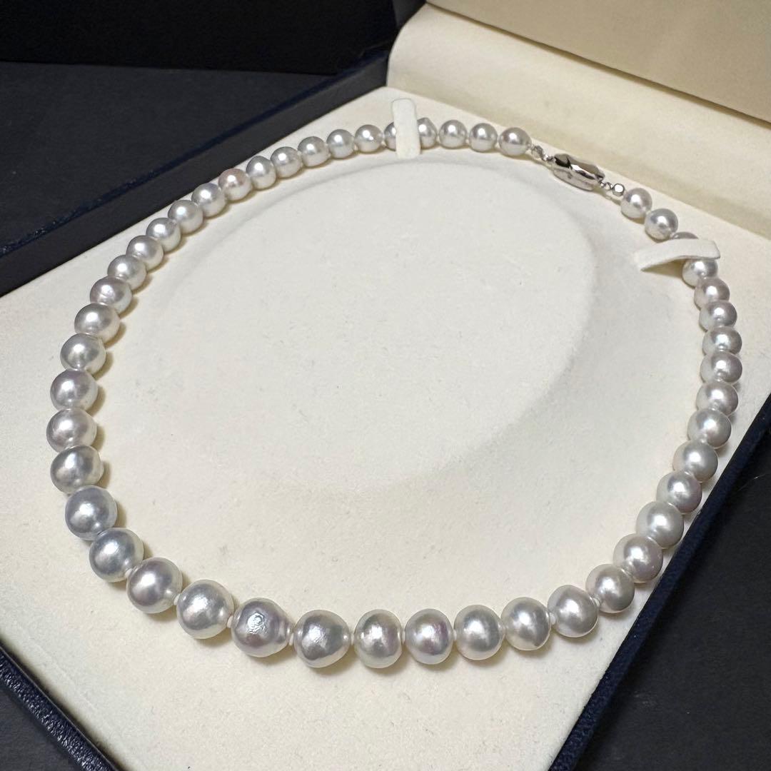 Akoya pearl necklace measuring 43.5 cm with round 8.0-8.5 mm white pearls on a white background