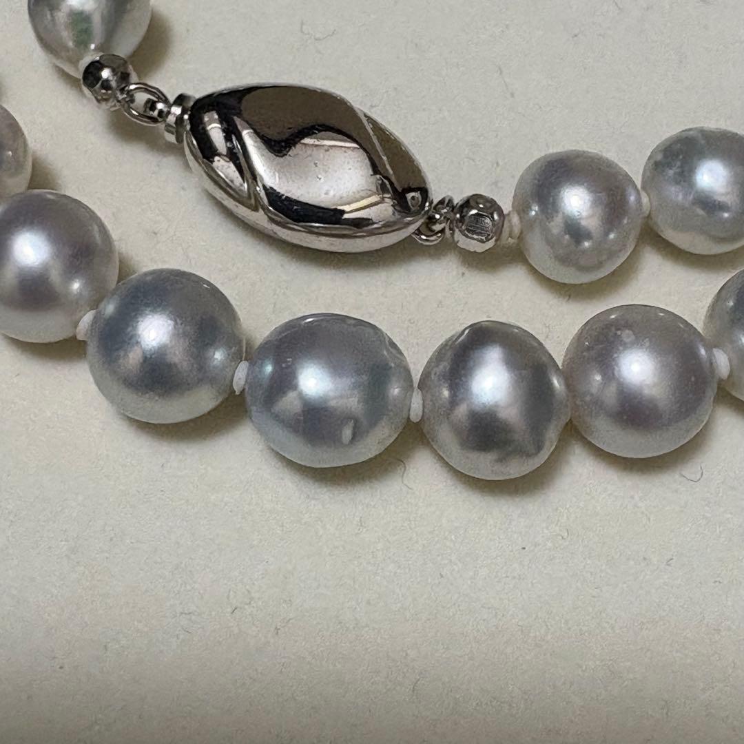 Akoya pearl necklace measuring 43.5 cm with round 8.0-8.5 mm white pearls on a white background