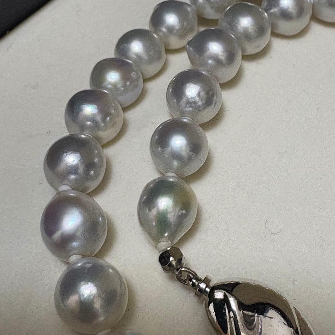Akoya pearl necklace measuring 43.5 cm with round 8.0-8.5 mm white pearls on a white background