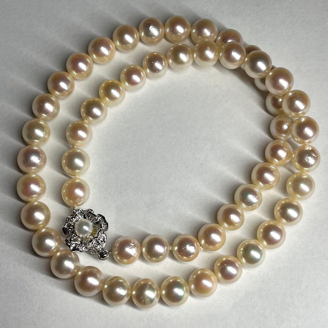 Teriyaki Akoya pearl necklace with cream white 7.5-8.0mm pearls and silver clasp on white background