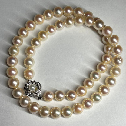 Teriyaki Akoya pearl necklace with cream white 7.5-8.0mm pearls and silver clasp on white background