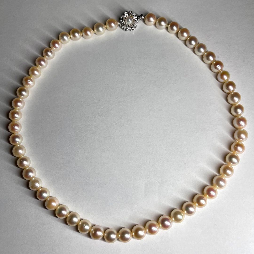 Teriyaki Akoya pearl necklace with cream white 7.5-8.0mm pearls and silver clasp on white background