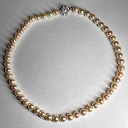 Teriyaki Akoya pearl necklace with cream white 7.5-8.0mm pearls and silver clasp on white background