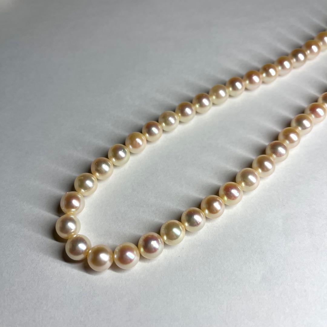 Teriyaki Akoya pearl necklace with cream white 7.5-8.0mm pearls and silver clasp on white background