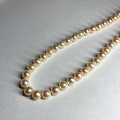 Teriyaki Akoya pearl necklace with cream white 7.5-8.0mm pearls and silver clasp on white background