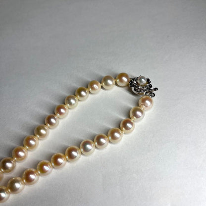 Teriyaki Akoya pearl necklace with cream white 7.5-8.0mm pearls and silver clasp on white background