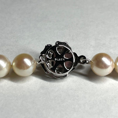 Teriyaki Akoya pearl necklace with cream white 7.5-8.0mm pearls and silver clasp on white background
