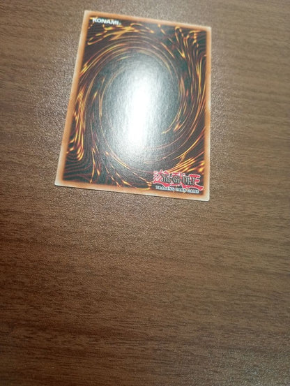 Yu-Gi-Oh The King of the Forest — English