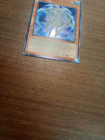 Yu-Gi-Oh The King of the Forest — English