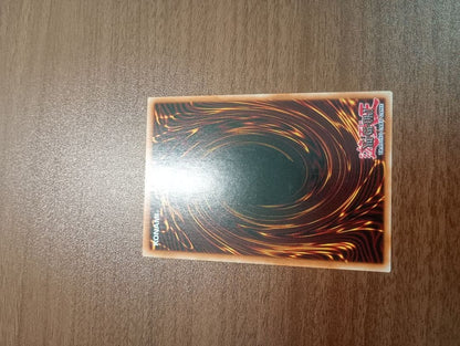 Yu-Gi-Oh The King of the Forest — English