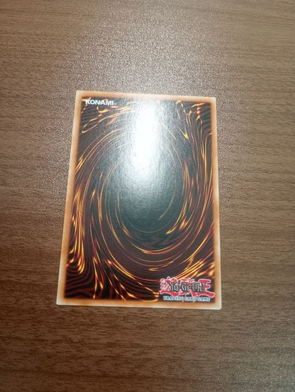 Yu-Gi-Oh The King of the Forest — English