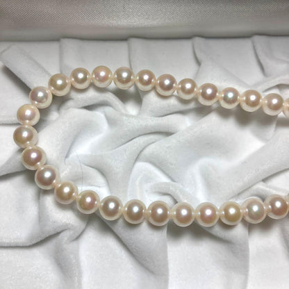 Akoya pearl necklace with 7.0-7.5mm pearls, 43 cm length, featuring a silver clasp