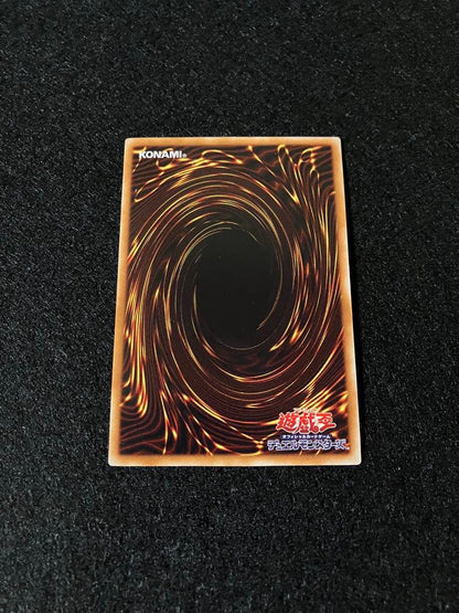 Yu-Gi-Oh Dark Magician - Black Paladin — Japanese