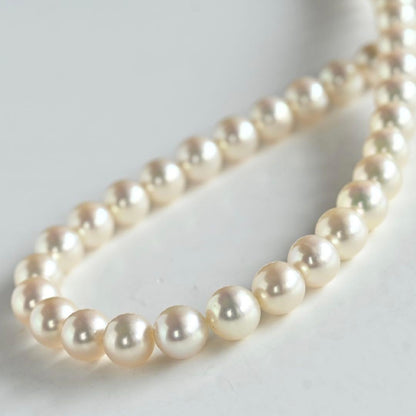 Takashi Akoya pearl necklace with 7.5mm round pearls and a K14 gold fastener on a white background