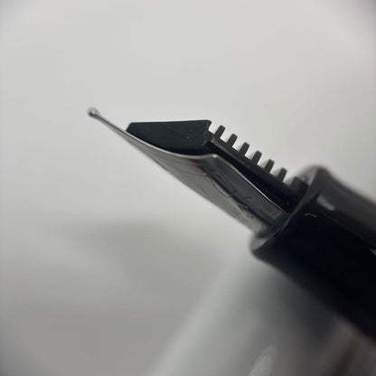 Waterman Metropolitan Essential fountain pen in white with fine nib and converter included