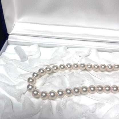 MIKIMOTO Akoya pearl necklace 7.0-7.5mm size with genuine box, 38.5cm length, displayed on white background