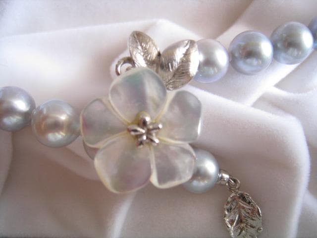 Amber oyster gray Akoya pearls 7.0mm-7.5mm silver necklace 43 cm length